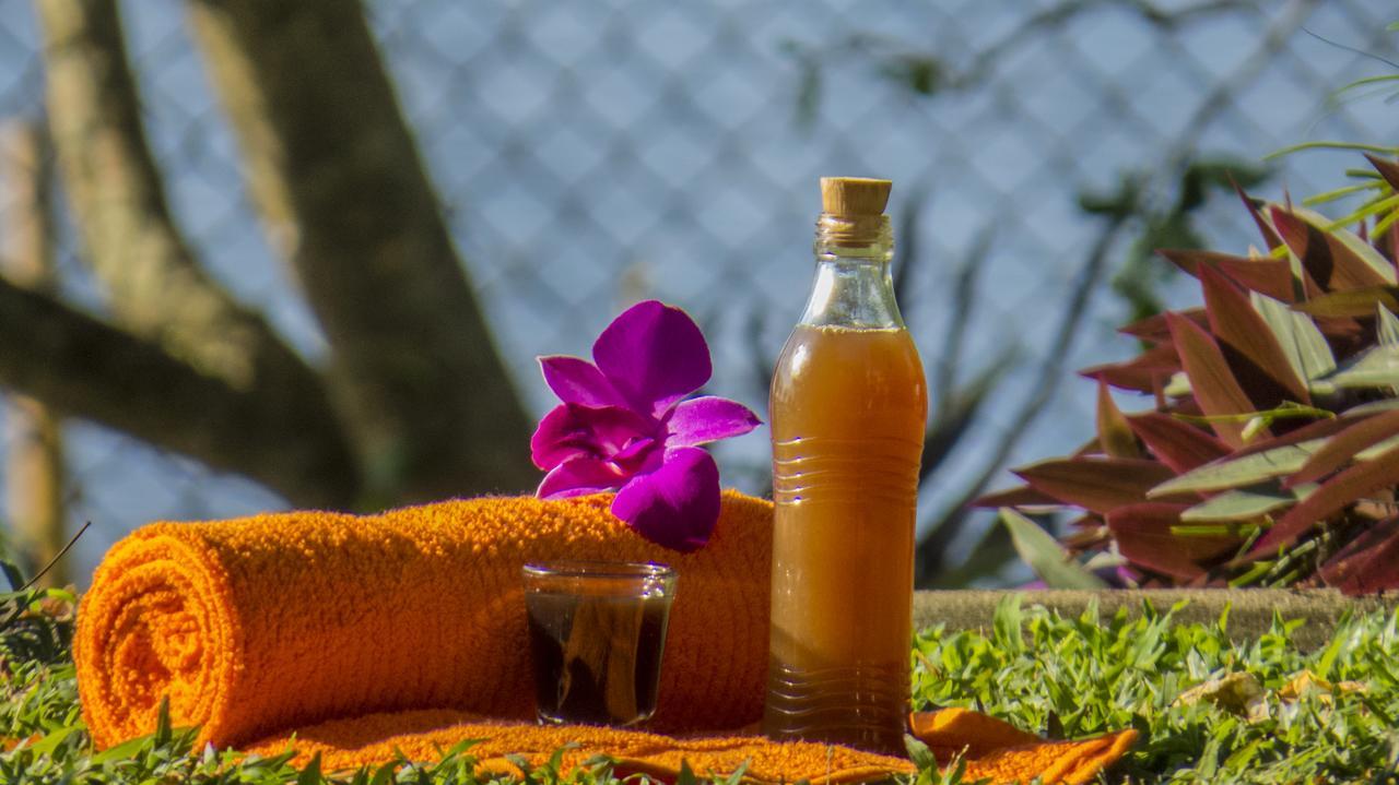Ayurveda Spring Of Life Hotel Piliyandala Exterior foto
